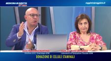 Donazione di cellule staminali