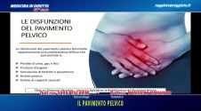 Il pavimento pelvico