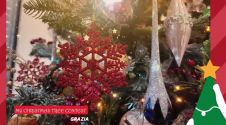 My Christmas Tree Contest - Grazia