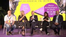Speciale - Rtv al Vinitaly and the City